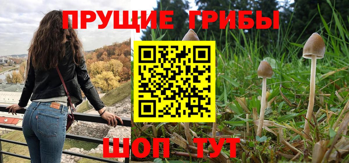 купить наркоту  Галлюциногенные грибы GOLDEN TEACHER  Вход с VPN  Ирбит  Галлюциногенные грибы MAGIC MUSHROOMS 